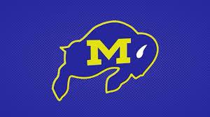 Milby Buffaloes