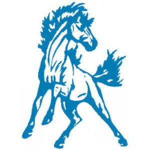 Mora Mustangs