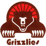 Memphis Grizzlies