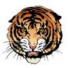 Mullan Tigers