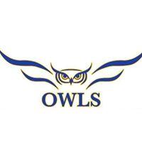 Odem Owls