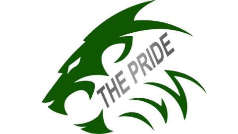 Payson Lions