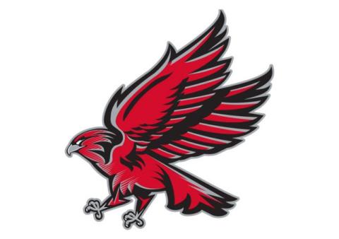 South Albany Redhawks