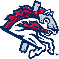 Binghamton Rumble Ponies