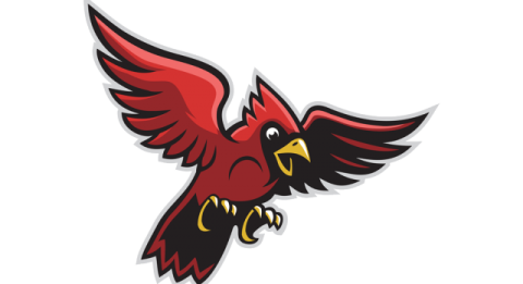 Sandy Valley Cardinals