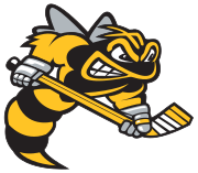 Sarnia Sting