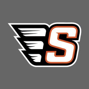 Skyridge Falcons