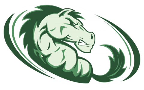 Strongsville Mustangs