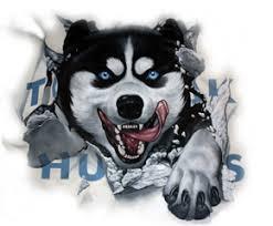 Togiak Huskies