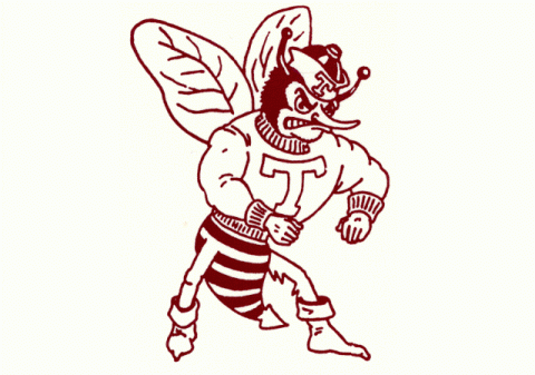 Tulia Hornets