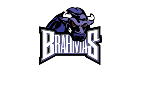 Texas Brahmas