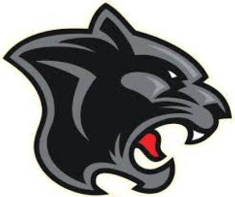 Von Steuben Panthers