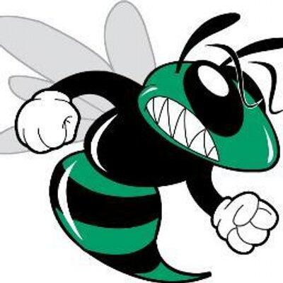 Weeki Wachee Hornets