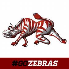 Pine Bluff Zebras