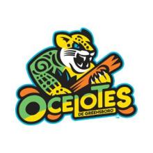 Ocelotes de Greensboro